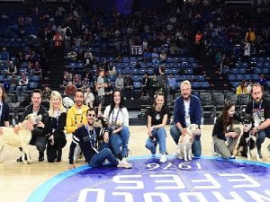 Anadolu Efes, Pawder İş Birliğiyle Depremzede Köpekleri Sinan Fazilet Spor Salonu’nda Ağırladı