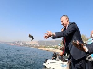 İzmit Körfezine 5 bin balık daha salınacak