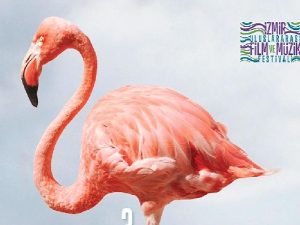 Kristal Flamingolar üçüncü defa sahiplerini bulacak