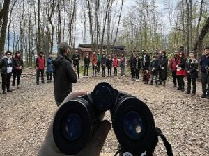 Ormanya’da kuş müşahede çeşidine ağır ilgi