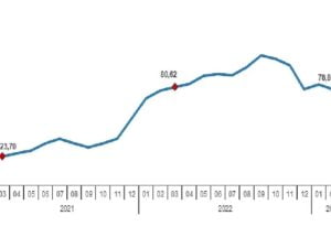 TÜİK: Hizmet Üretici Fiyat Endeksi (H-ÜFE) yıllık %73,55, aylık %2,30 arttı