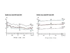 TÜİK: İşgücü İstatistikleri, Şubat 2023