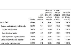 TÜİK: Tarım eserleri üretici fiyat endeksi (Tarım-ÜFE) yıllık %106,77, aylık %1,79 arttı