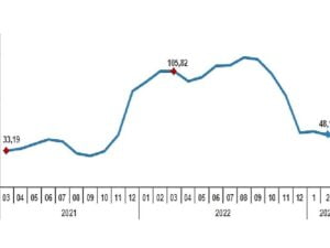TÜİK: Yurt Dışı Üretici Fiyat Endeksi (YD-ÜFE) yıllık %40,35, aylık %1,65 arttı