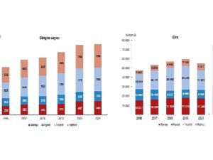 TÜİK: Yurt Dışında Denetim Edilen Teşebbüs İstatistikleri, 2021