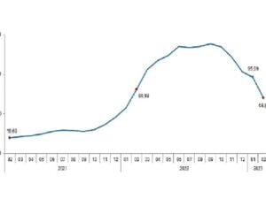 TÜİK: Ziraî girdi fiyat endeksi (Tarım-GFE) yıllık %69,99, aylık %1,22 arttı