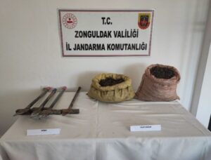 Kdz. Ereğli Esenler Köyünde salep toplayan şahıs yakalandı