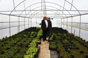 KDZ. EREĞLİ BELEDİYESİ, 300 BİN ATA TOHUMU FİDESİ DAĞITACAK