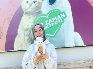 Depremzede kediler yeni konutlarına kavuştu