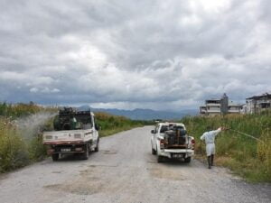 Edremit’te Sivrisinek İle Çaba