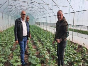 Gemlik Belediyesi’nde organik tarım çalışmaları sürüyor