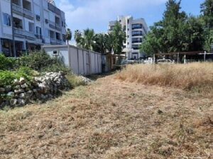 İlçe genelindeki yeşil alanlarda bakım çalışması