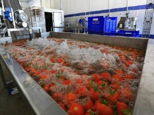 Muğla’nın Eserlerine Paha Katan Tesis