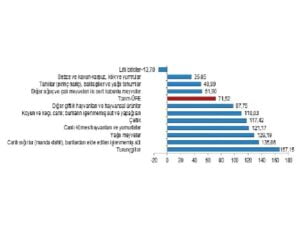 TÜİK: Tarım eserleri üretici fiyat endeksi (Tarım-ÜFE) yıllık %71,52 arttı, aylık %2,32 azaldı