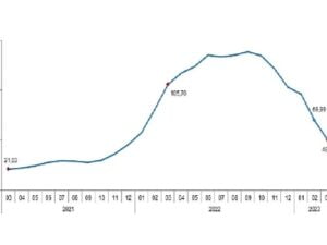 TÜİK: Ziraî girdi fiyat endeksi (Tarım-GFE) yıllık %49,70, aylık %1,41 arttı
