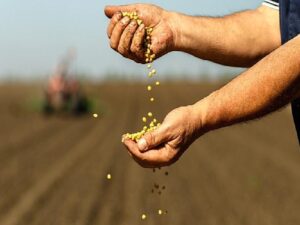 Türkiye’nin besin ihracatındaki yeni amacı 50 milyar dolar