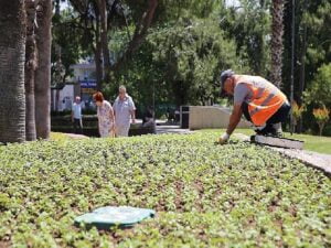 Antalya bu yaz çiçek bahçesine dönecek