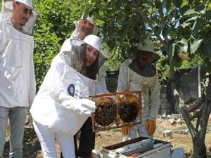 Antalya Büyükşehir kursiyerleri kovan başında arıcılık eğitimi aldı