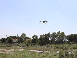 Burhaniye’de sinekle uğraşta yeni tahlil