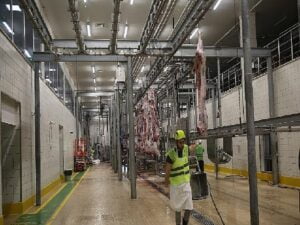 Çağdaş kesimhanede tekbirlerle kesim yapılıyor