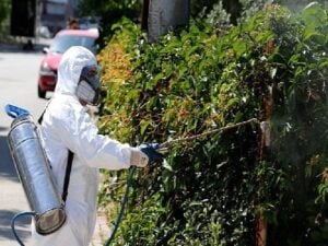 Karşıyaka’da sinek ve haşereyle aktif gayret