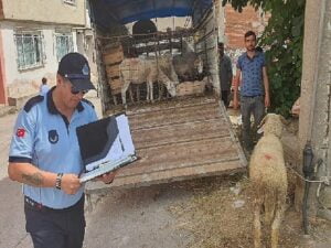 Mahalle ortasında kurban satışına müsaade yok