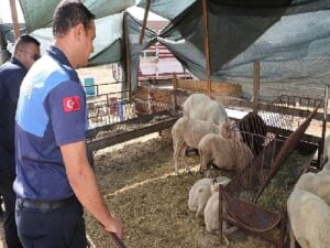 Menderes’te Kurban Kontrolü
