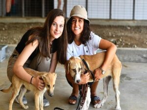 Pati dostları bu şenlikte buluşacak