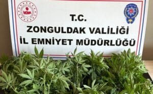 Kdz. Ereğli’de uyuşturucu operasyonu