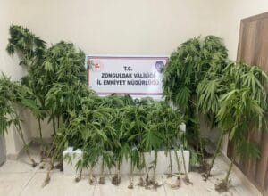 Zonguldak’ta uyuşturucu operasyonu: 1 şüpheli yakalandı