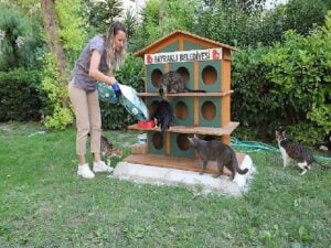 Bayraklı’da can dostlara mama ve su dayanağı