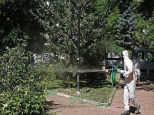 Çankaya parklarına yaz bakımı