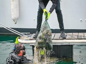 D-Marin tüm marinalarında Etraf Farkındalık Günlerini kutladı