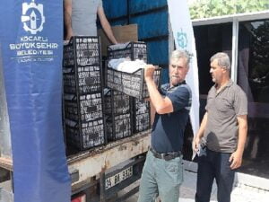 Kocaeli’de üreticilere 118 bin çilek fidesi dağıtıldı