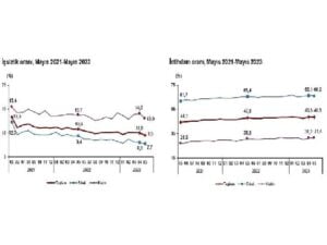 Mevsim tesirinden arındırılmış işsizlik oranı yüzde 9,5 düzeyinde gerçekleşti