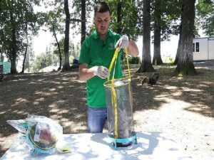 Vektör uğraşında karasinek tuzağı