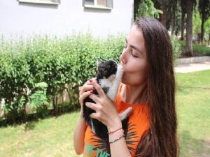 Zübeyde Hanım Parkı’nın kedileri yeni konutlarına kavuştu