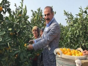 2023/24 döneminde narenciye rekoltesinde rekor artış