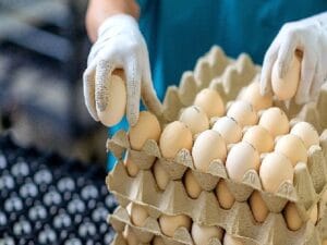 EİB’den Temmuz ayında 1 milyar 462 milyon dolarlık ihracat