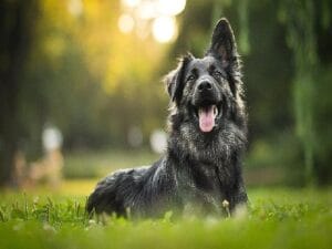 Hepsiburada’dan can dostlarımıza dayanak