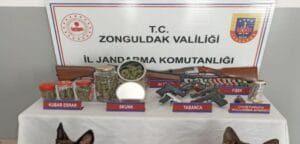 Devrek’te uyuşturucu operasyonu